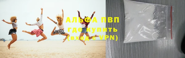 сатива Пестово