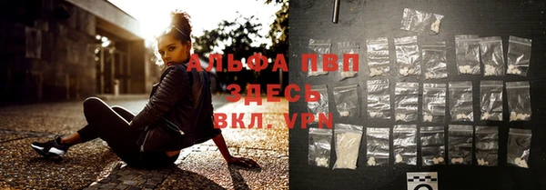 PSILOCYBIN Весьегонск