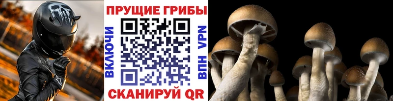 Псилоцибиновые грибы мицелий  Соликамск 