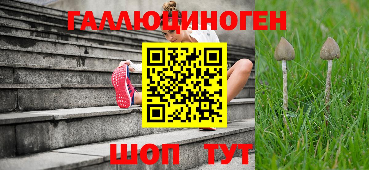Псилоцибиновые грибы ЛСД  Вход с VPN  Соликамск 
