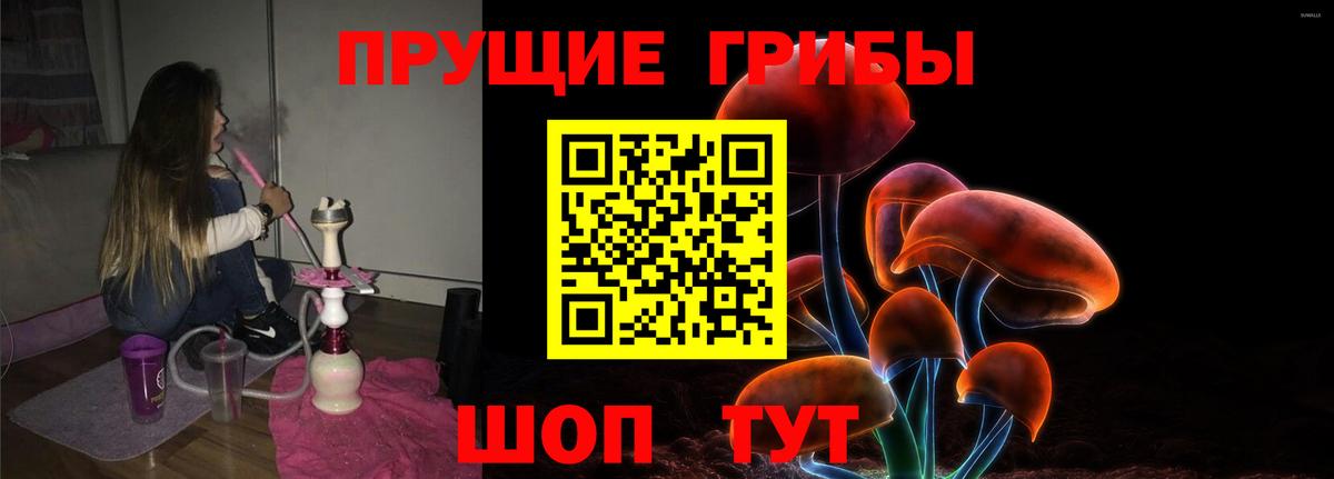 Псилоцибиновые грибы Psilocybe Соликамск